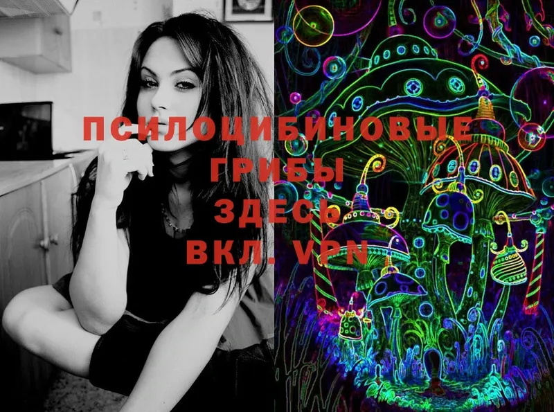 Галлюциногенные грибы MAGIC MUSHROOMS  купить   OMG как войти  Починок 